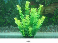 Пластикове рослина для акваріума 30 см Lang № 104252