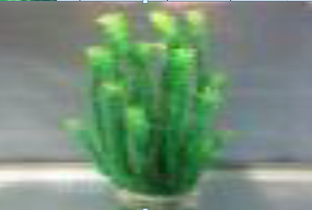 Пластикове рослина для акваріума 50-52 см 017522