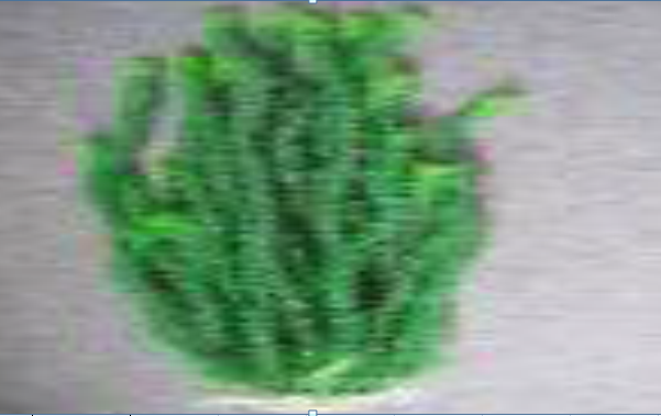 Пластикове рослина для акваріума 60-65 см 017652, фото 2