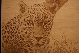 лазерне гравірування фотографій на дереві