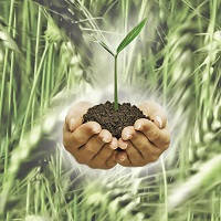 Біодобрива