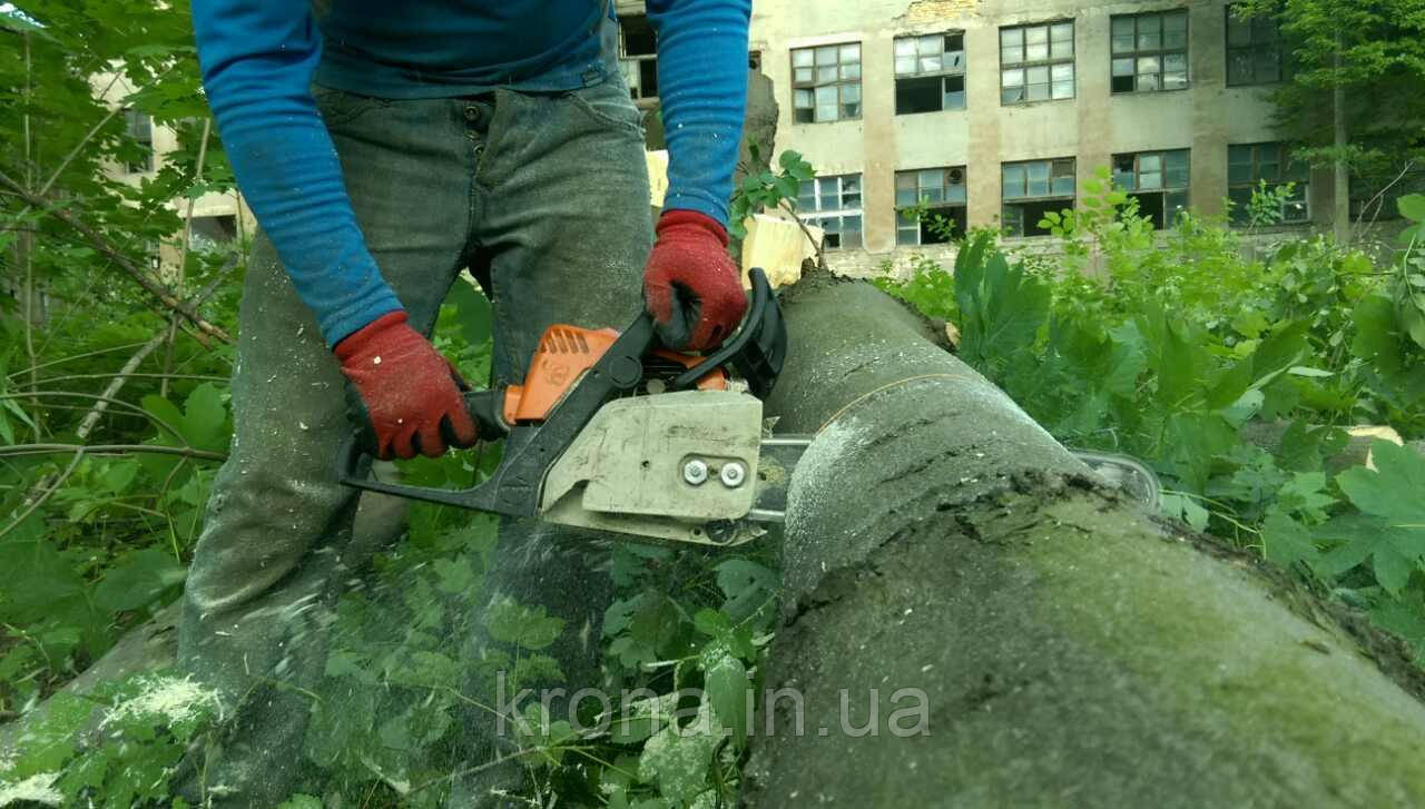 Спил дерев