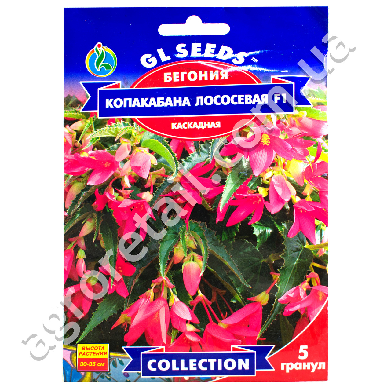 Бегонія Копакабана лососева F1 5 шт Gl Seeds