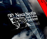 Новошотландський ретривер (нова скотія дак толінг ретривер) стикер, фото 2