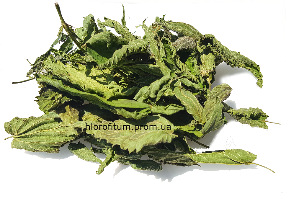 Кропива дводомна листя 50 грамів (Urtica dioica)