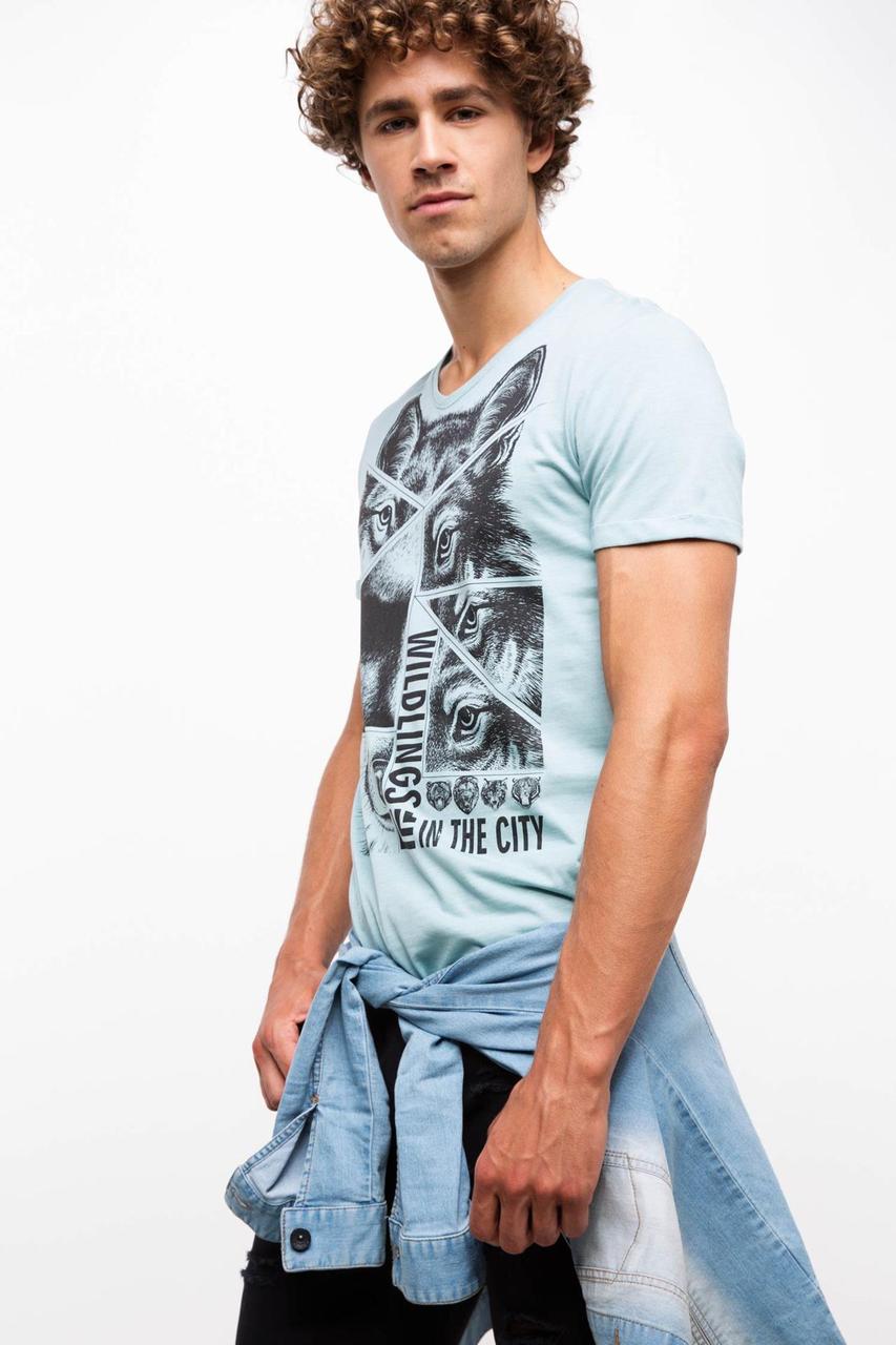 Чоловіча футболка De Facto блакитного кольору з малюнком і написом на грудях, фото 1