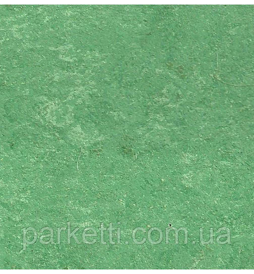 DLW LPX 132-032 cactus green Lino Eco (Marmocor) 2.5 мм натуральный линолеум - фото 2 - id-p547088473