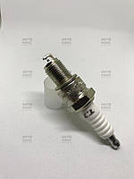 Denso W16TT Свічі спалювання Daewo Espero 1.8 2.0 Nubira 2.0 (16V) Tacuma 1.8 Tico 0.8 (4шт)
