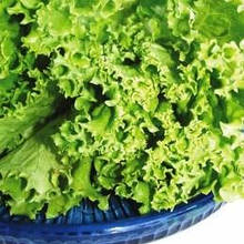 Зелені культури