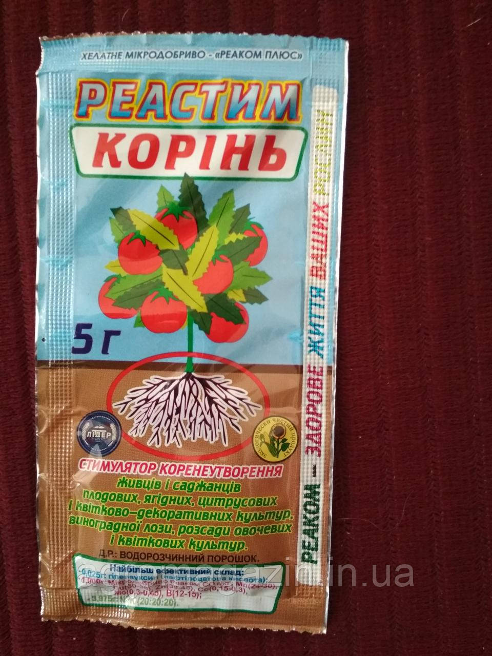 Реастим Корінь