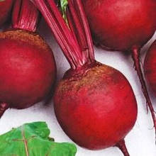 Буряк (максіпакет)