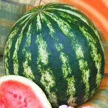 Кавуни (максіпакет)