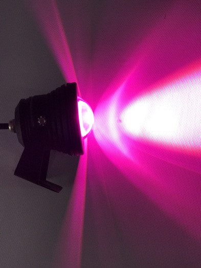 Світлодіодний лінзований фітопрожектор SL-10-12F 10W 12V IP65 чорний (full spectrum led) Код.58943