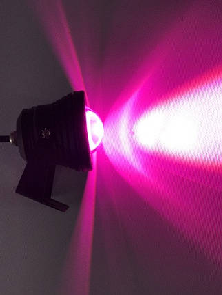 Світлодіодний лінзований фітопрожектор SL-10-12F 10W 220V IP65 чорний (full spectrum led) Код.58933, фото 1