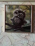 Картина для малювання камінням Diamond painting Алмазна вишивка "Совеня" , фото 4