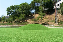 Ландшафтна штучна трава FUNGRASS Perla Verde, фото 5