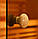 Двері для лазні та сауни Saunax Trend (матові), фото 4