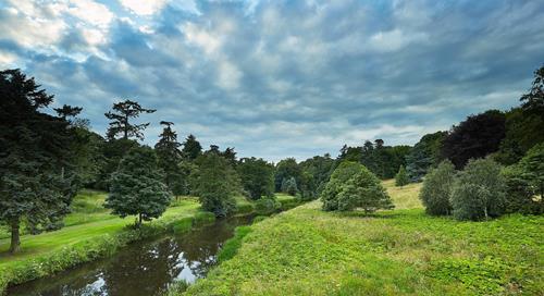 Картина на полотні "Природа" (PR254), фото 1