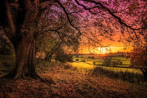 Картина на полотні "Природа" (PR272), фото 1