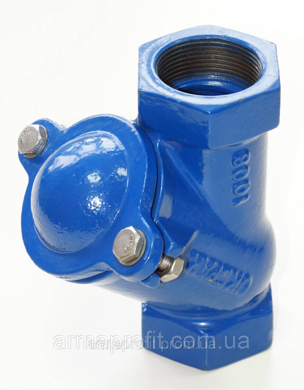 Клапан обратный канализационный чугунный муфтовый арт. BCV-16M (C302) Ду80 Ру16 - фото 6 - id-p1407493
