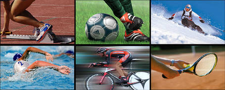 Види спорту