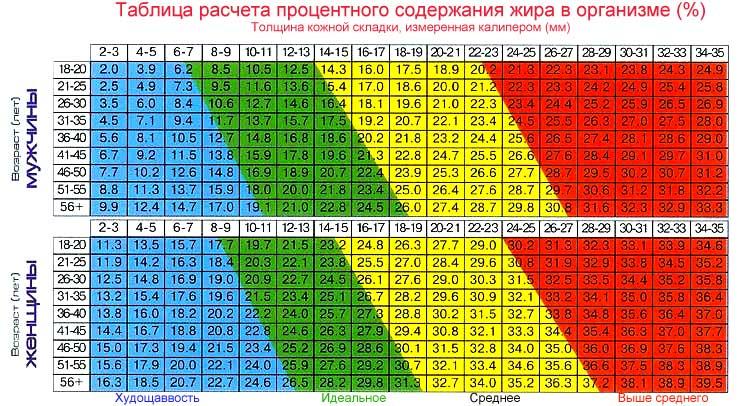 Калипер для измерения процента жира в организме измеритель количества жира - фото 3 - id-p548613298