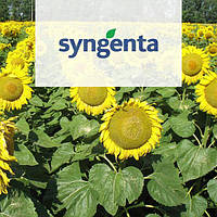 Syngenta