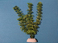 Искусственное растение 40см, серия "Sunny" AP- 036C