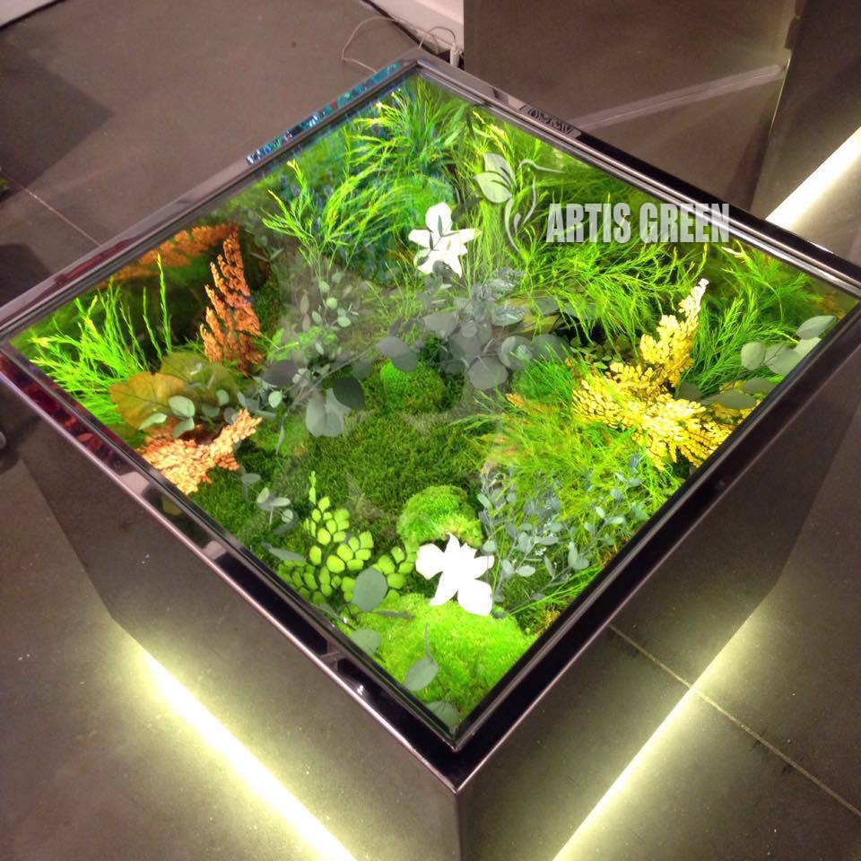 Стіл зі вставками зі стабілізованих рослин і моху, F1, фото 1