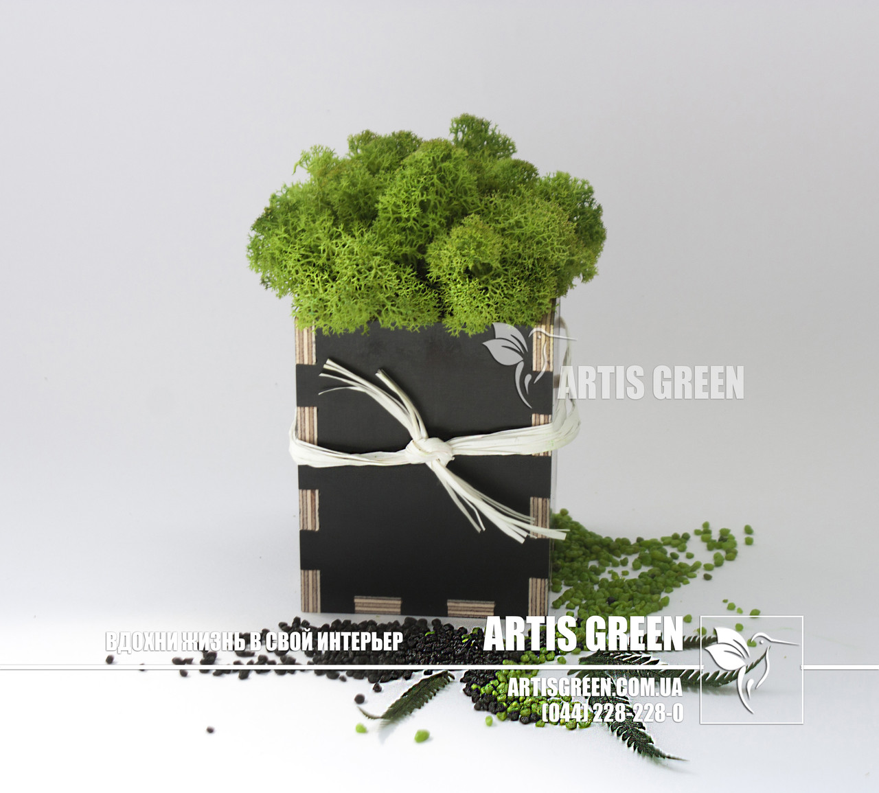 Сувеніри з мохом від "Artis Green", S23