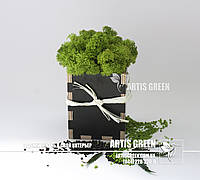 Сувениры со мхом от "Artis Green", S23