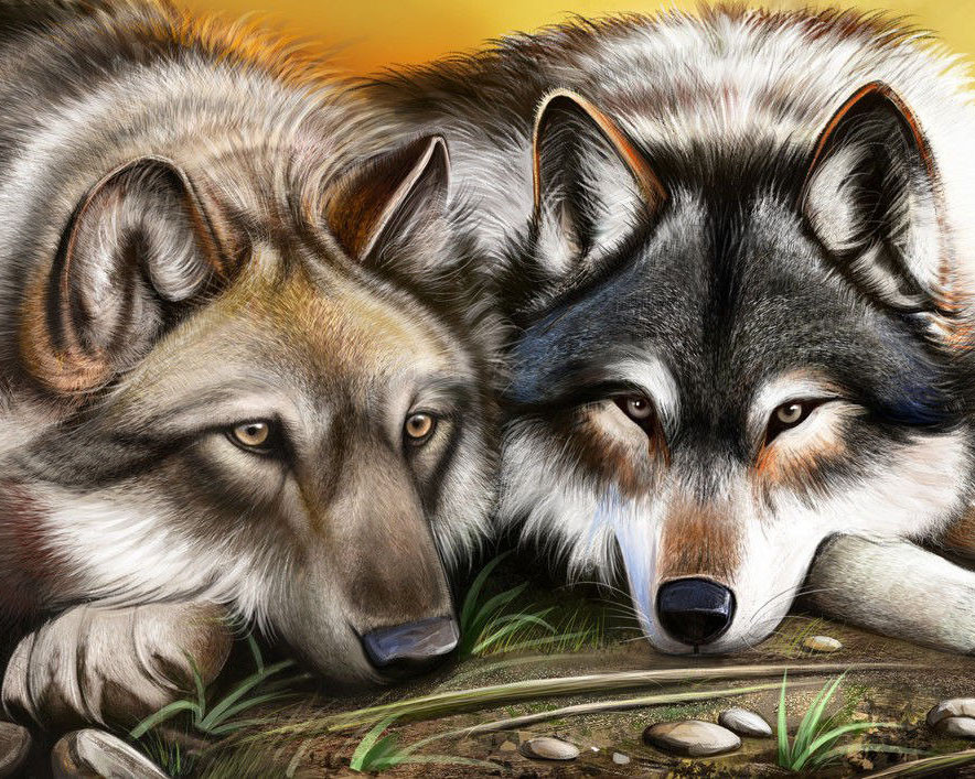 Мозаїка акриловим камінням Вовки DM-102 (40 х 50 см) ТМ Алмазна мозаїка, фото 1