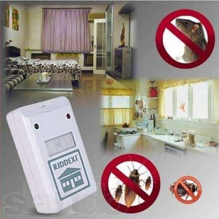 Електромагнітний відлякувач гризунів Pest Repelling Aid Riddex безпечний для дому, фото 2
