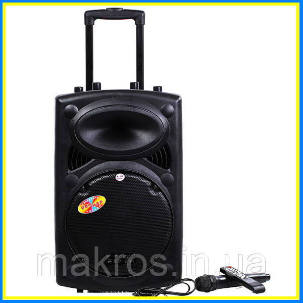 Акумуляторна колонка S10A Bluetooth/FM-тюнер, фото 1