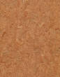 ЛІНОЛЕУМ комерційний, DIAMOND STANDART Forte, 4213-453