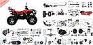 Запчастини для китайського квадроцикла ATV 110 ATV 125 ATV 150 250 400 500 600 700 Hummer Shineray, фото 2