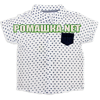 Дитяча сорочка з коротким рукавом р. 116 Calvin Klein для хлопчика тканина ПОПЛІН ТМ Малина 3672 Білий