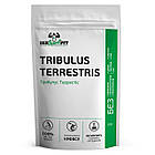 Tribulus Terrestris (90% saponins) Трибулус 100 г, фото 3