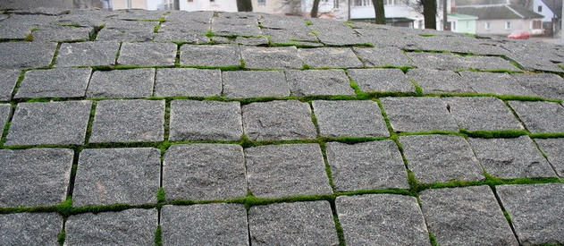 Бруківка гранітна колота Колота гранітна бруківка