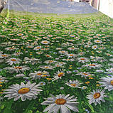 Бязь із ромашками на траві, фото 2