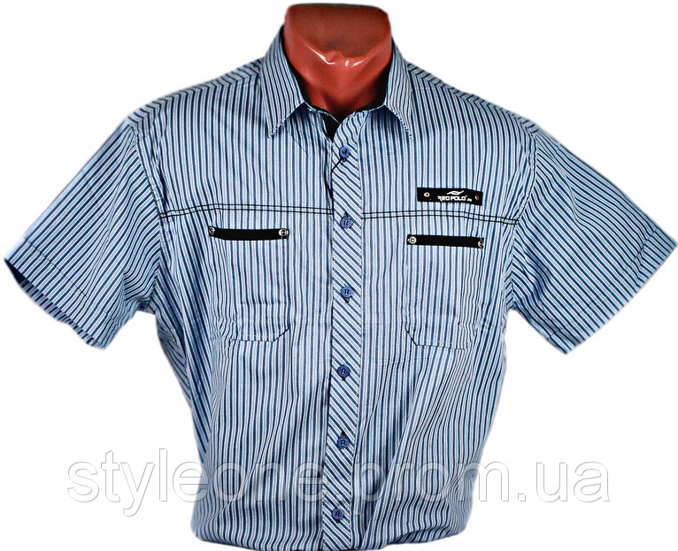Сорочка чоловіча "Redpolo". Синя смужка. Короткий рукав, фото 1