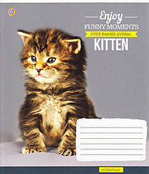 Зошити шкільні 24 аркуша лінія "Kitten Funny Moments" 794841