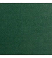 Обложка зеленая с вклеенным каналом O.HARD Classic A 10 mm 10 шт/уп.