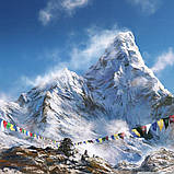 Creed Himalaya парфумована вода 120 ml. (Крид Гімалаї), фото 6