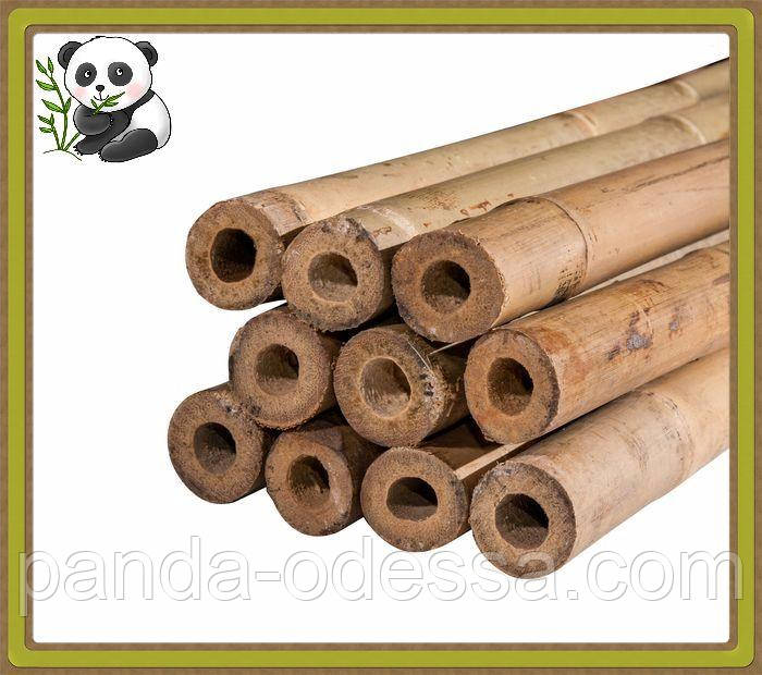 Бамбукове дуло, опора, д.1,0 см +/-, довжина 2,10 м