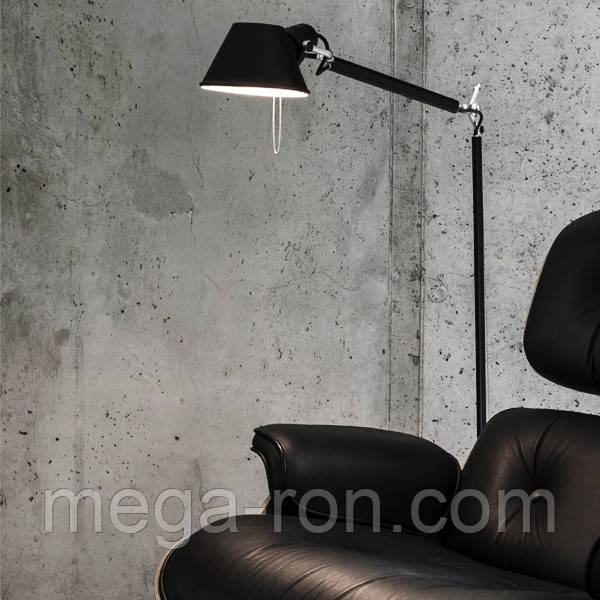 Підлоговий світильник Tolomeo Floor, ARTEMIDE, фото 1
