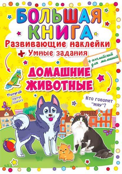 БАО Велика книга. Розвинувши. наклейк. Домашнє жи