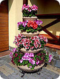 Чотирирівнева квіткова піраміда Ф750 колір "Піщаний", фото 2