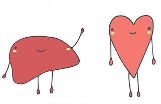 Гепатопротектори, кардіопротектори