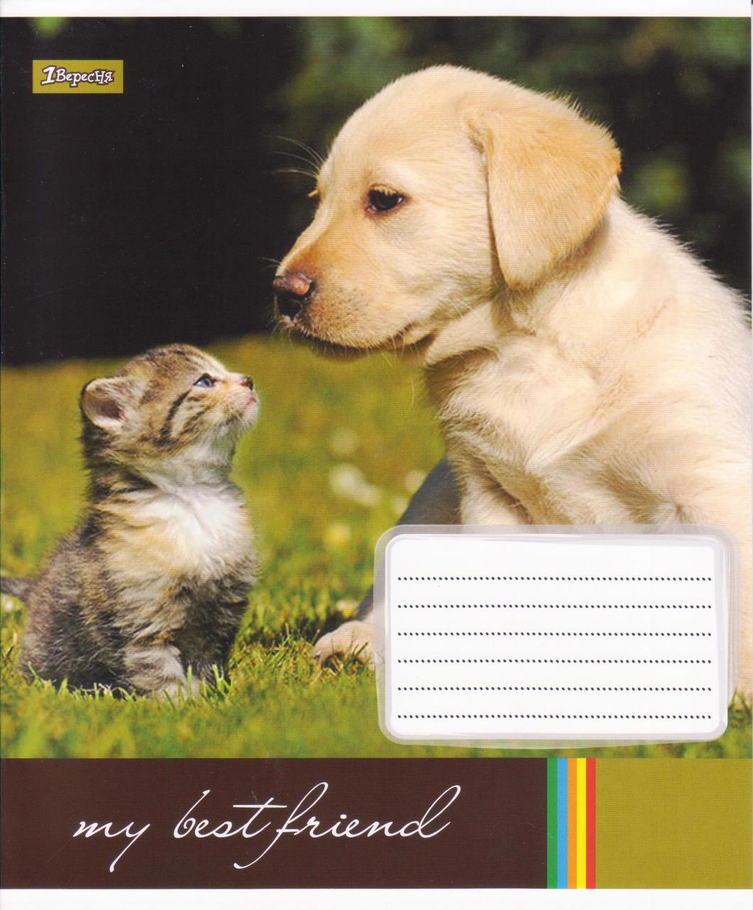 Зошит 18 аркушів клітинка "My best friend" 760091